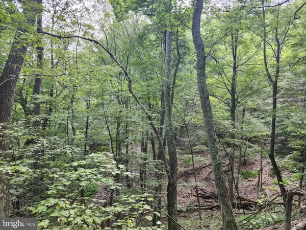 $579,900 | 6836 Highway 55, Moorefield, WV 26836