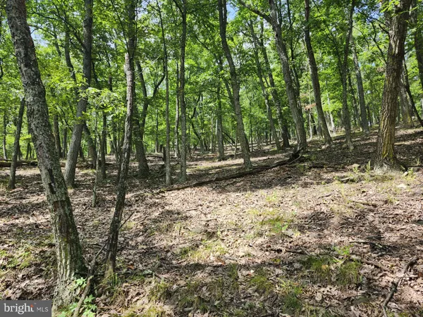 $579,900 | 6836 Highway 55, Moorefield, WV 26836
