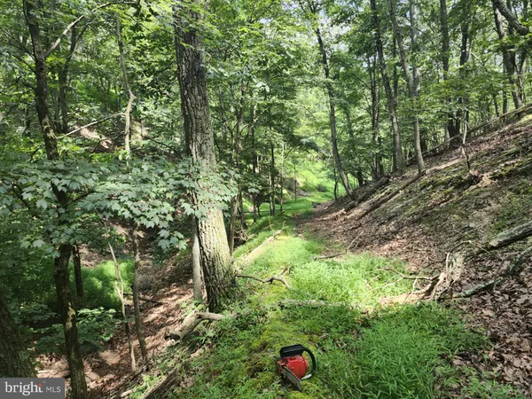 $579,900 | 6836 Highway 55, Moorefield, WV 26836