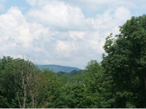 370 Reece Road Trade, TN 37691 - Photo 10 of 24 Photo 10