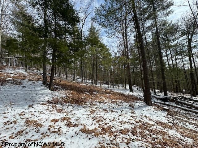 1 Spruce Run Poca, WV 25159 - Photo 25 of 38 Gallery Image 25