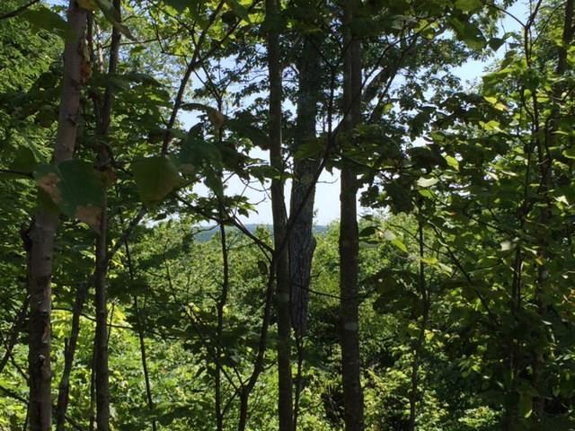 Lot 5-2 Jellison Meadow Road Ellsworth, ME 04605 - Photo 5 of 15 Photo