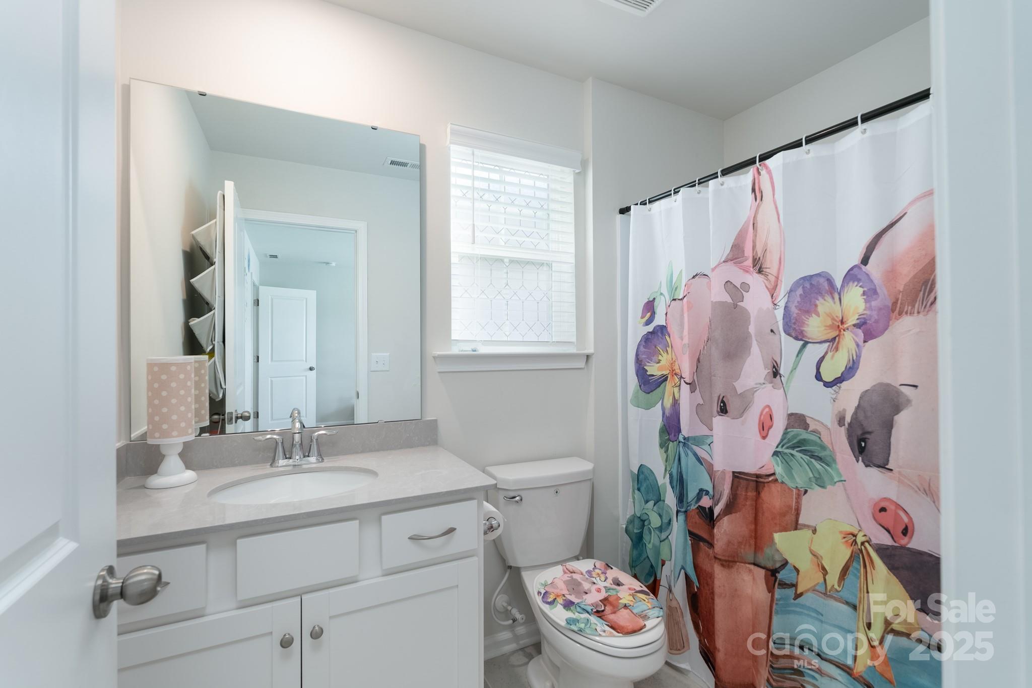 1782 Wildwood Terrace Trail Tega Cay, SC 29708 - Photo 20 of 47 a bathroom with a sink mirror vanity and toilet
