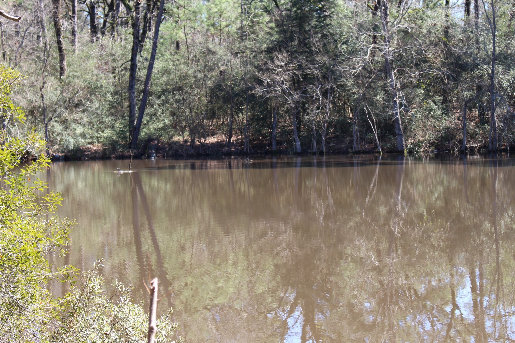 Lot 68 Hidden Lane Trinity, TX 75862 - Photo 11 of 26 a view of a lake with houses in outdoor space
