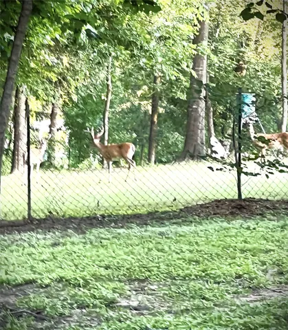 a view of outdoor space and yard