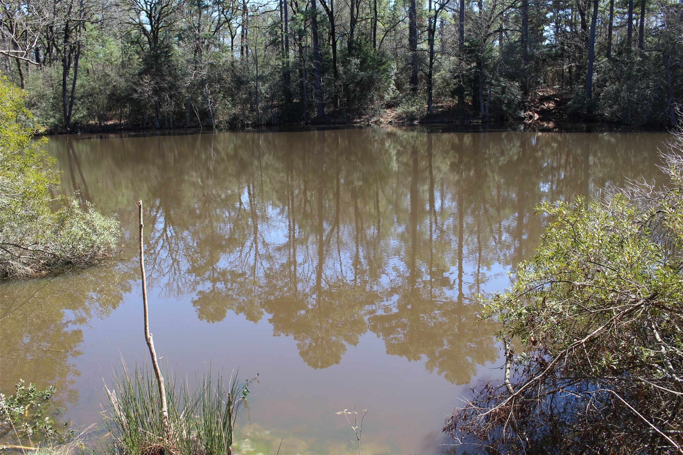 Lot 68 Hidden Lane Trinity, TX 75862 - Photo 9 of 26 a view of a lake from a yard
