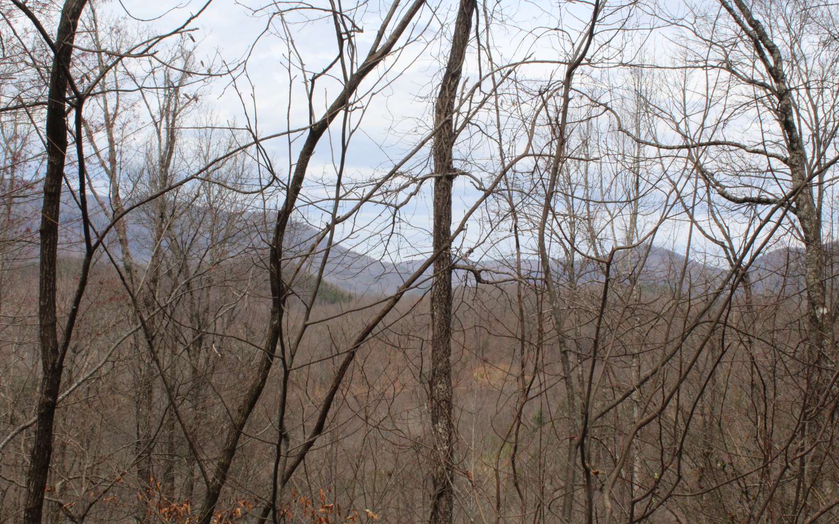 1 Nelson Ridge Road Hayesville, NC 28904 - Photo 2 of 3 Additional View