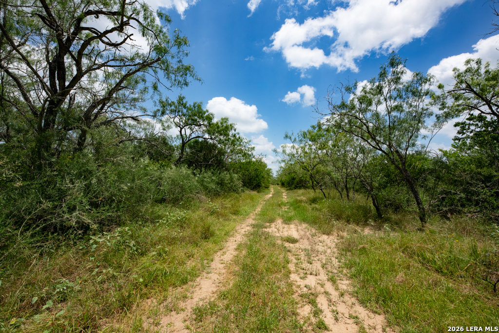 1393 Fox Trotter Road Seguin, TX 78155 - Photo 18 of 46