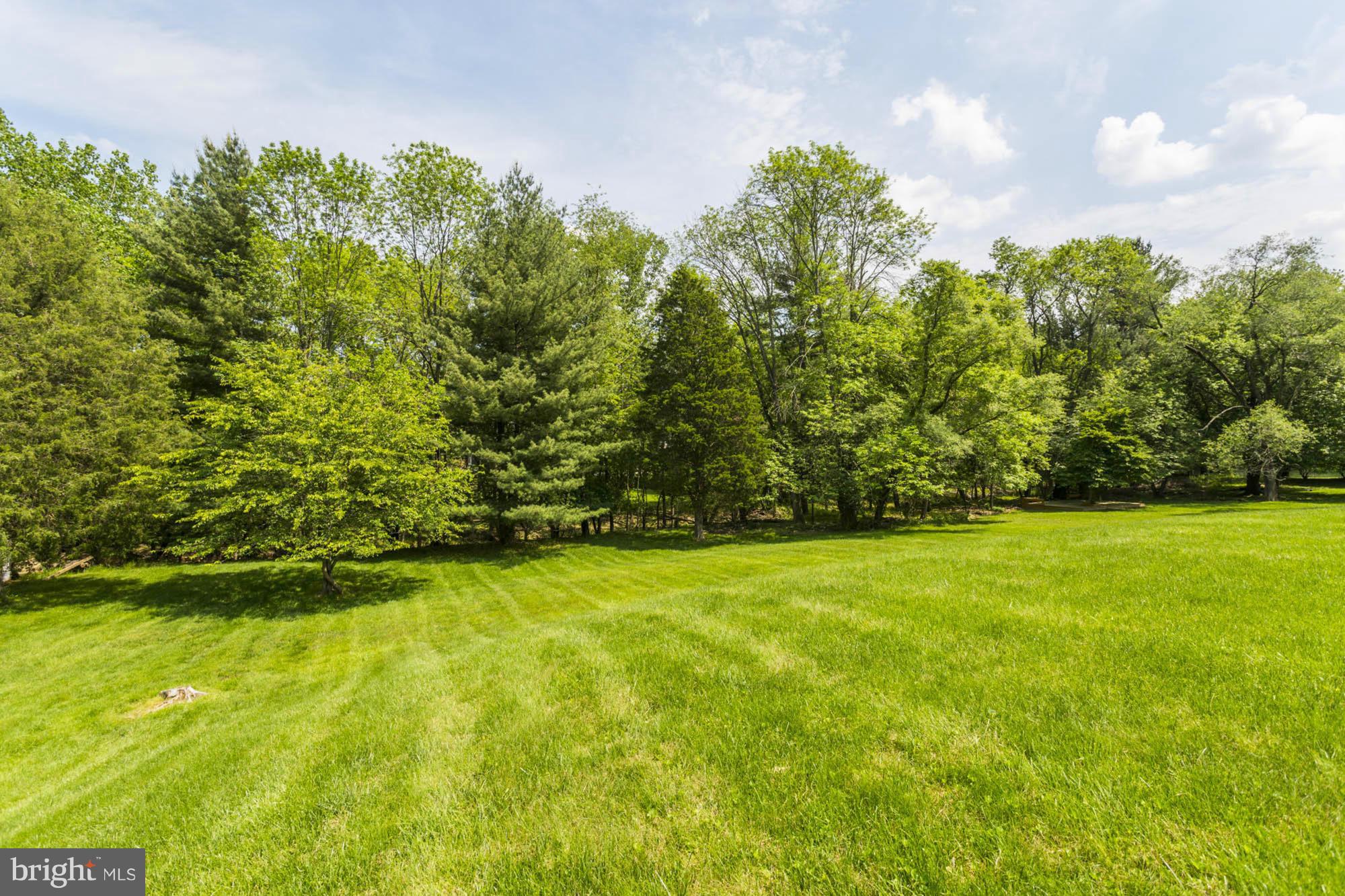 14021 Rippling Brook Drive Silver Spring, MD 20906 - Photo 3 of 26 Nearly 1/2 Acre Lot!