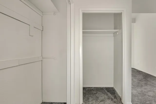 a view of a tree with yard