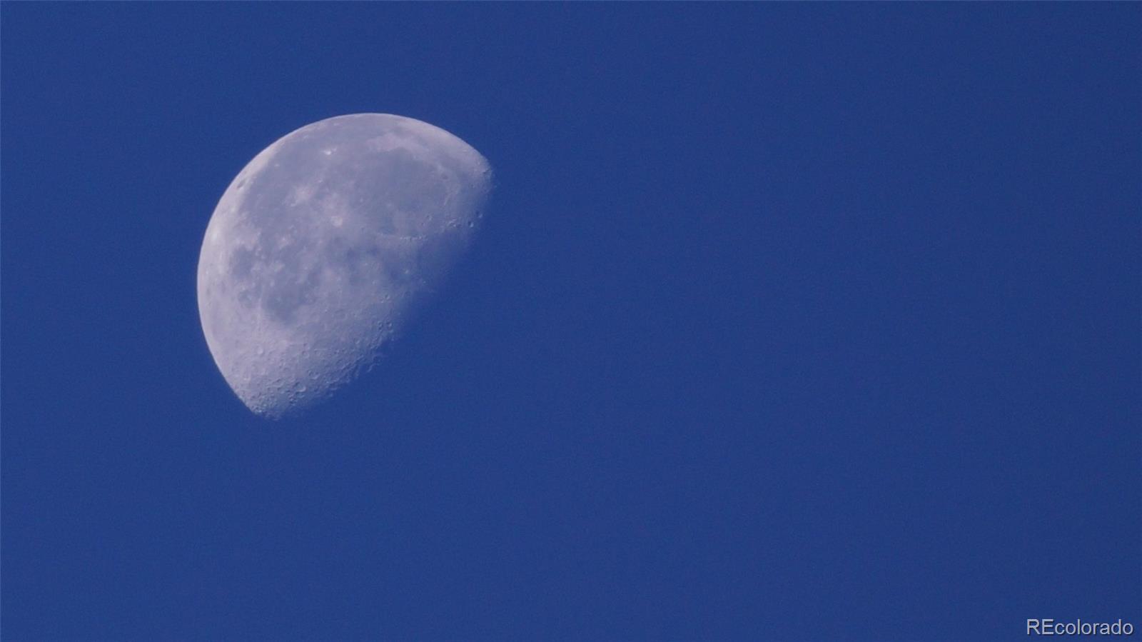 93 Gross Dam Road Golden, CO 80403 - Photo 13 of 35 a close up of bulb