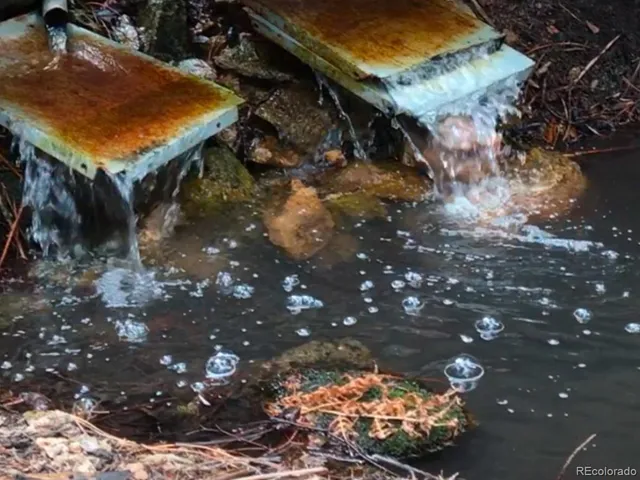 a view of a yard with an outdoor space