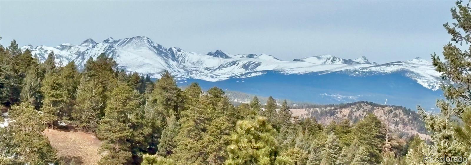 93 Gross Dam Road Golden, CO 80403 - Photo 21 of 35 a close up of a vase of white flowers