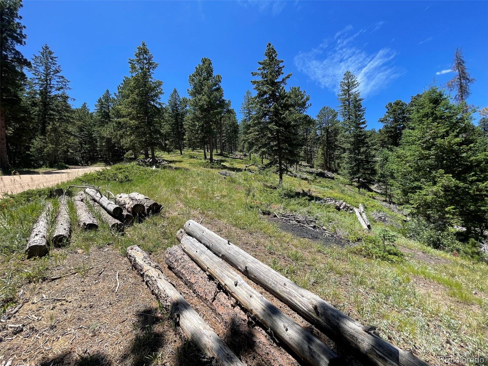 93 Gross Dam Road Golden, CO 80403 - Photo 23 of 35 a view of a yard with an outdoor space