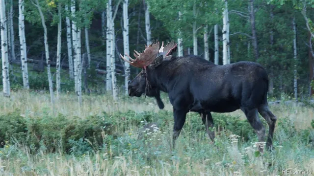 $675,000 | 93 Gross Dam Road, Golden, CO 80403