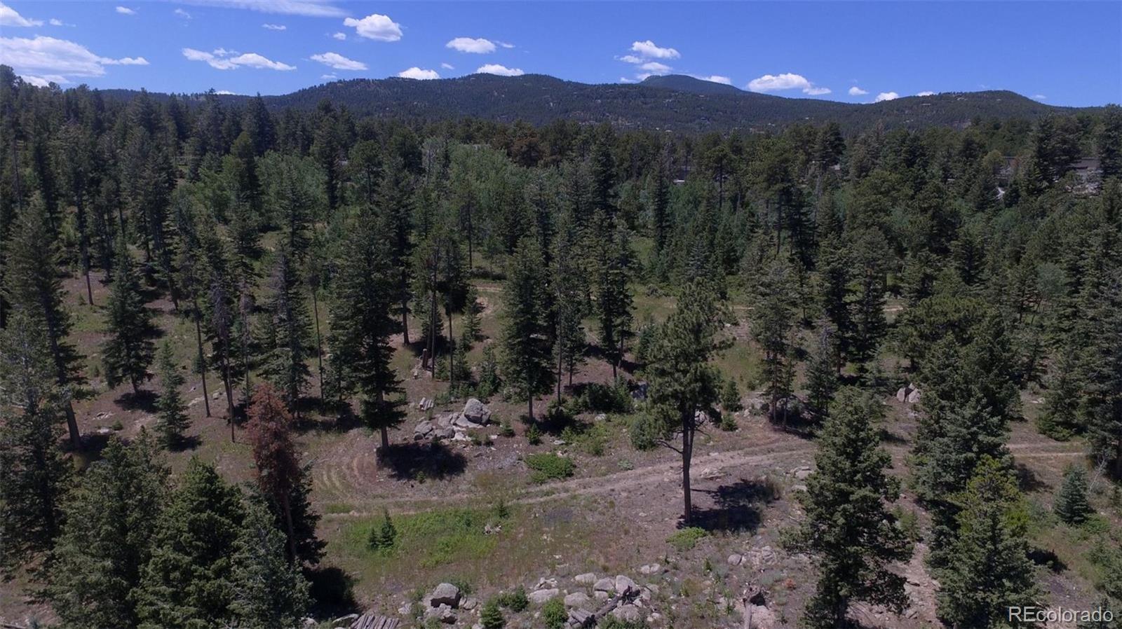 93 Gross Dam Road Golden, CO 80403 - Photo 7 of 35 a view of a forest with a street