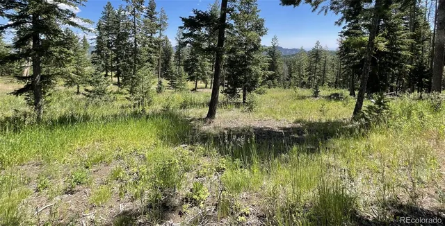 a view of a close up of a plant