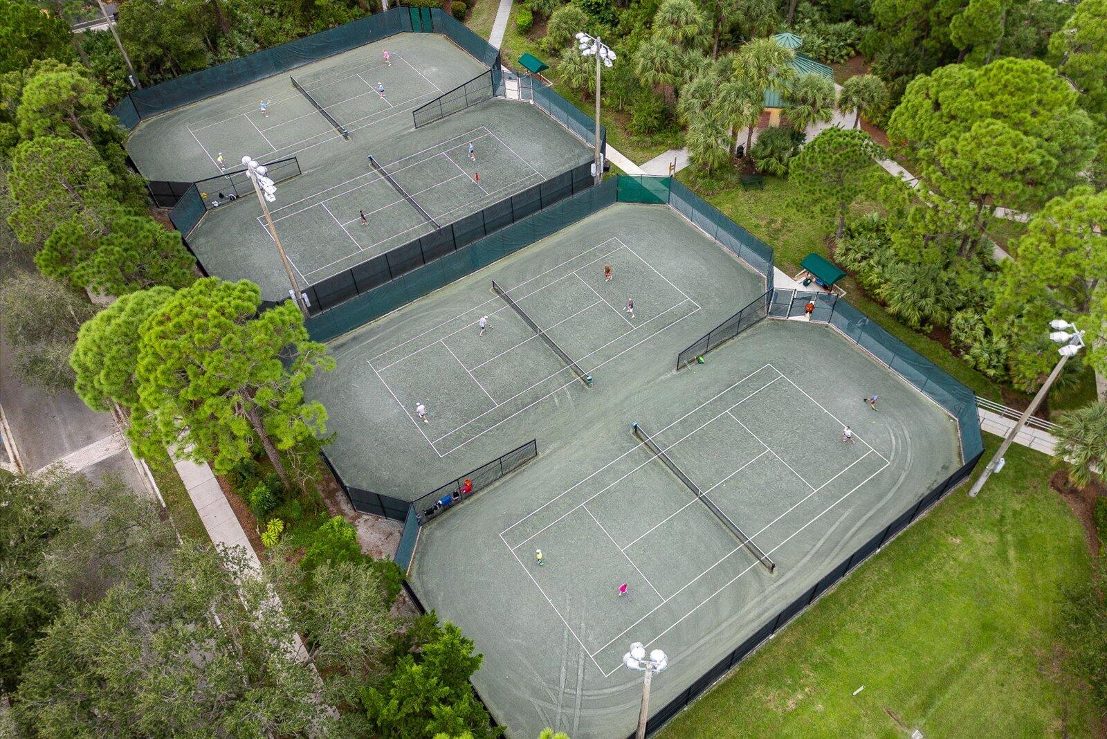 1460 Corbison Point Place Jupiter, FL 33458 - Photo 66 of 85 an aerial view of a house with a yard and trees in the background