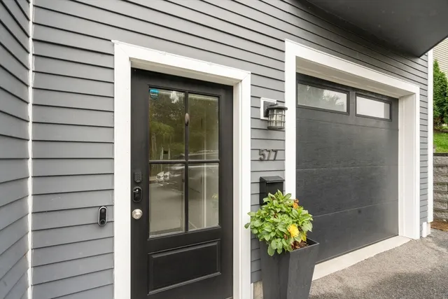 a potted plant in front of a glass door
