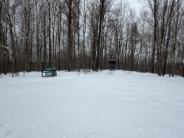 8453-8455 White Road Indian River, MI 49749 - Photo 54 of 56 IMG_2506