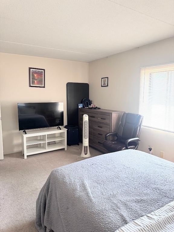 46 Cochituate Road, Unit 201 Framingham, MA 01701 - Photo 7 of 21