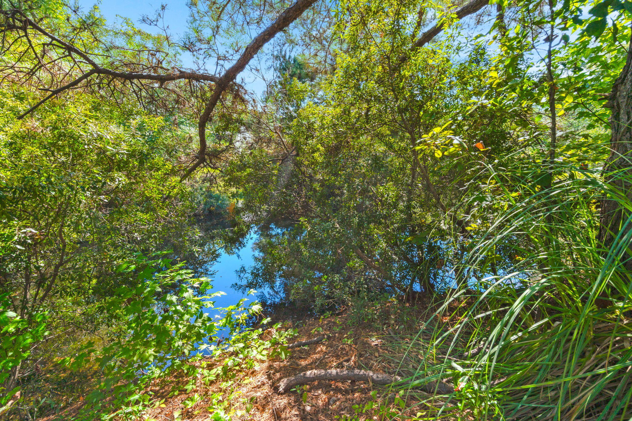 2446 Castlereagh Road Charleston, SC 29414 - Photo 38 of 43 36