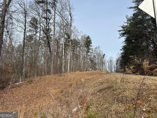 $30,000 | 0 Holly Springs Road, Unit TRACT 3, Toccoa, GA 30577