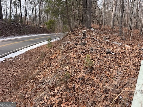 0 Holly Springs Road, Unit TRACT 3 Toccoa, GA 30577 - Photo 3 of 8