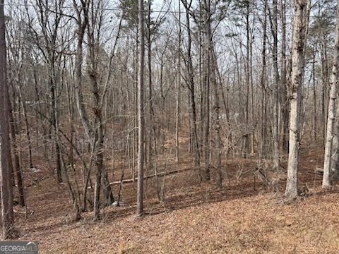 0 Holly Springs Road, Unit TRACT 3 Toccoa, GA 30577 - Photo 6 of 8