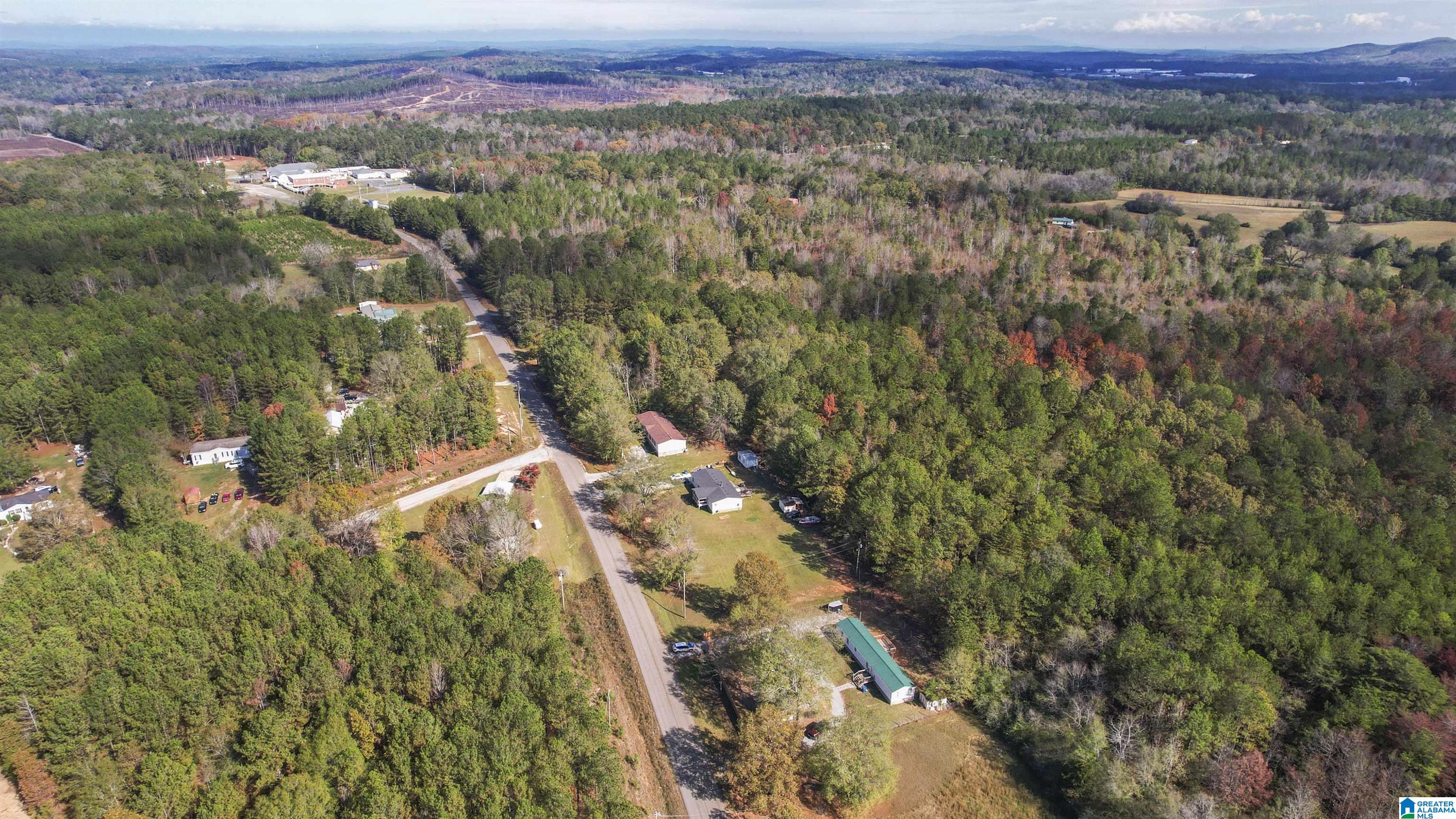 4630 Howells Cove Road Talladega, AL 35160 - Photo 10 of 31