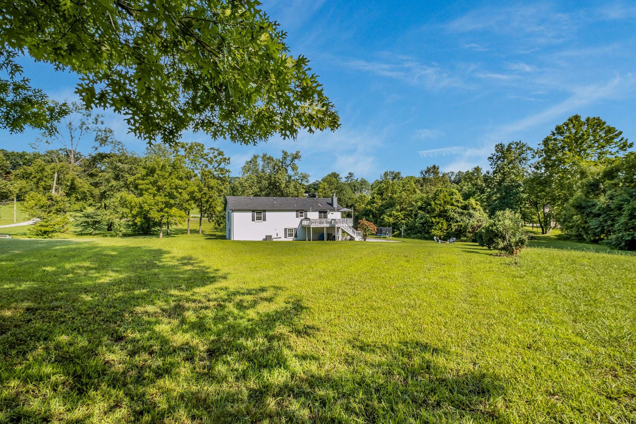 2144 Osburn Road Arrington, TN 37014 - Photo 47 of 51 a picture of a yard with a tree