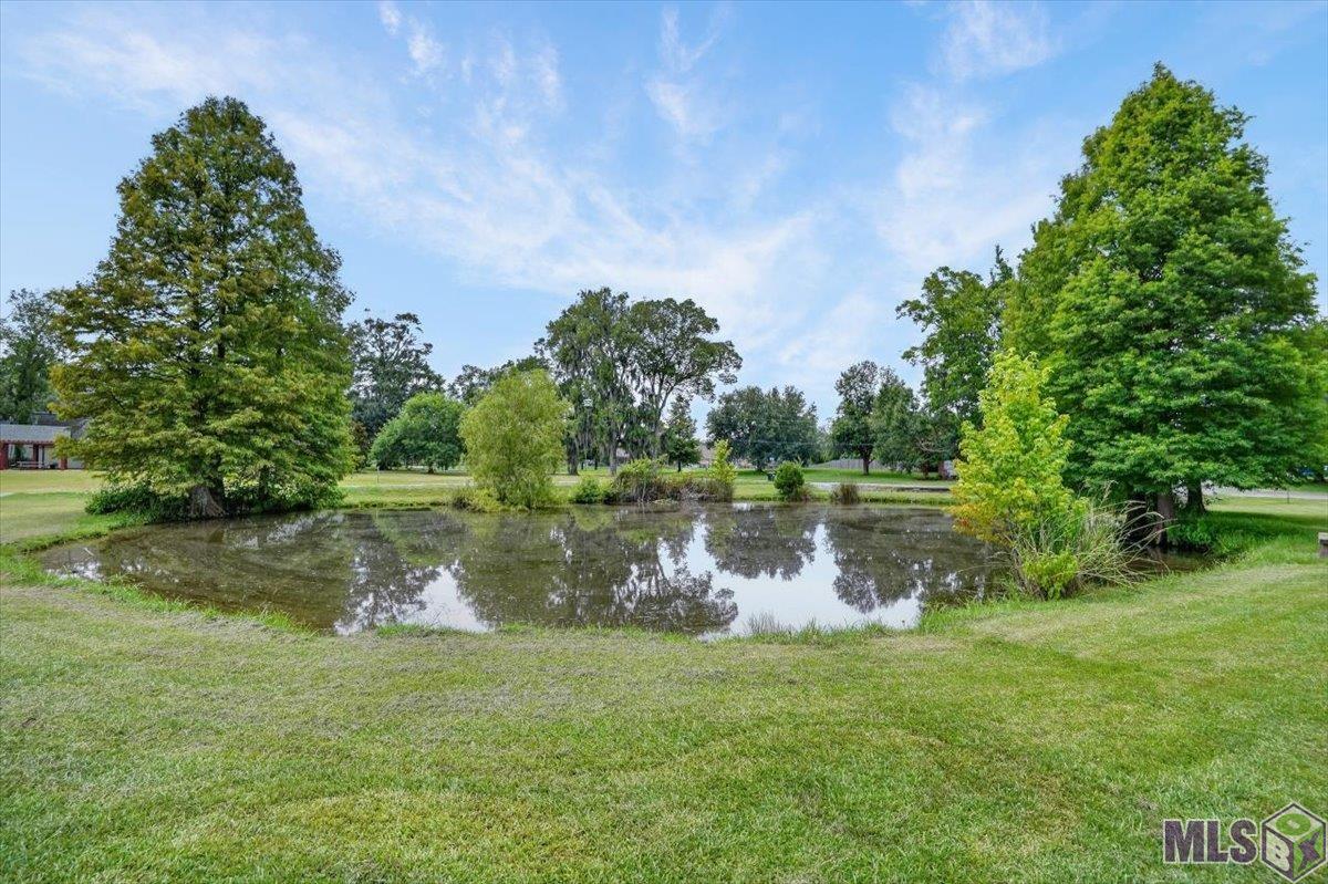 38425 Babin Road Gonzales, LA 70737 - Photo 4 of 25