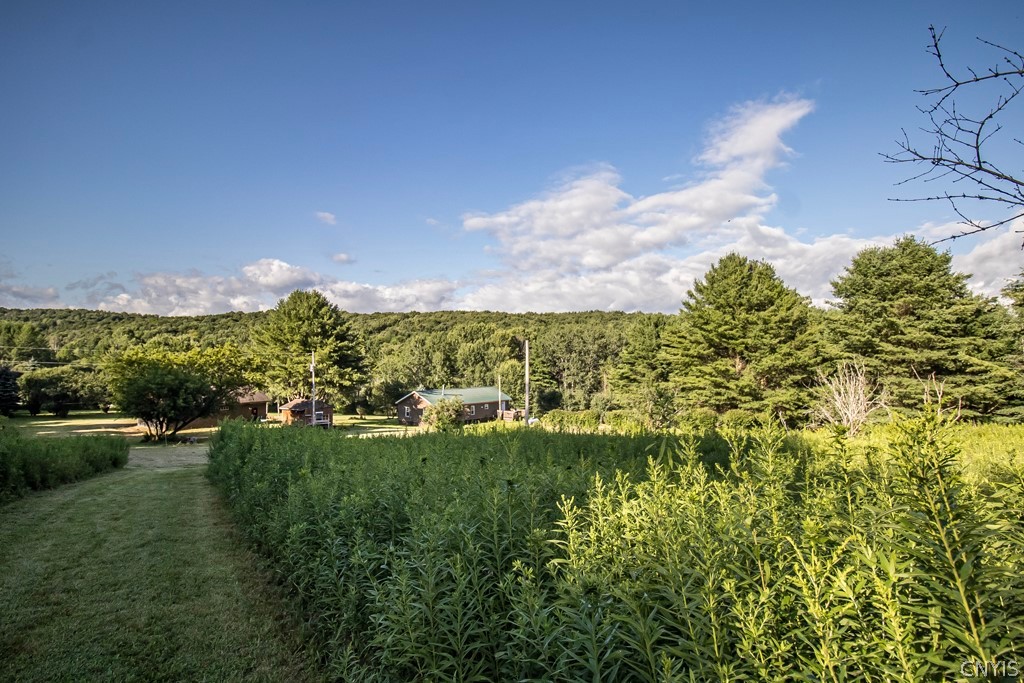 2455 Hatch Lake Road Nelson, NY 13061 - Photo 17 of 27 Gallery Image 17