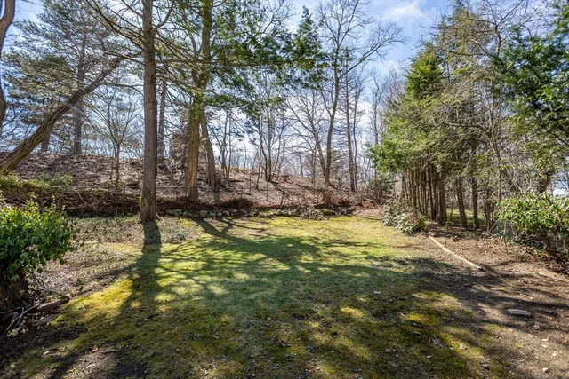 a view of a yard with trees