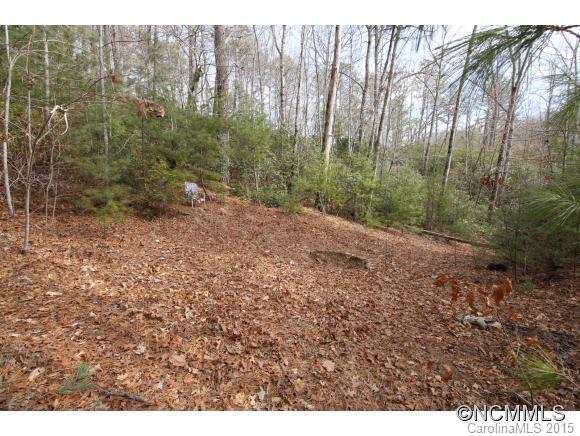 Tbd Shoal Creek Road, Unit 1&2 Balsam Grove, NC 28708 - Photo 11 of 24 Gallery Image 11