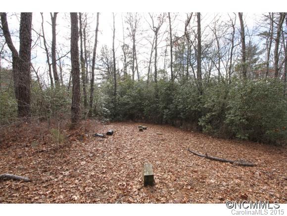 Tbd Shoal Creek Road, Unit 1&2 Balsam Grove, NC 28708 - Photo 12 of 24 Gallery Image 12