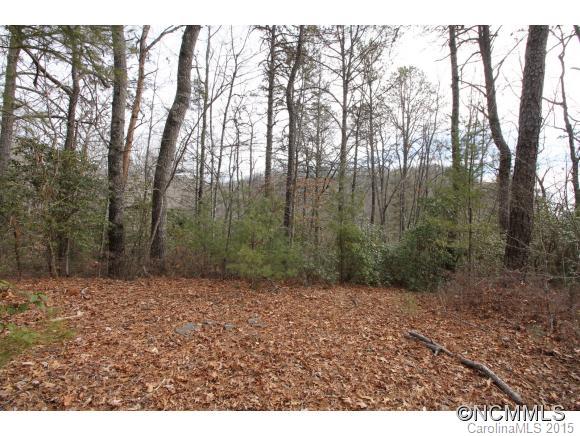 Tbd Shoal Creek Road, Unit 1&2 Balsam Grove, NC 28708 - Photo 13 of 24 Gallery Image 13