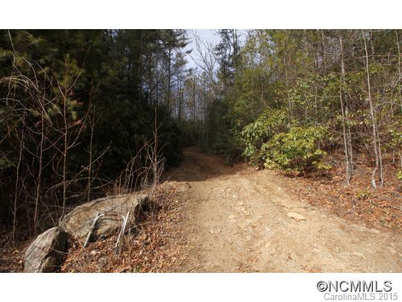 Tbd Shoal Creek Road, Unit 1&2 Balsam Grove, NC 28708 - Photo 17 of 24 Gallery Image 17