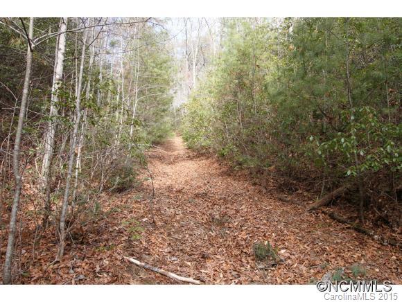 Tbd Shoal Creek Road, Unit 1&2 Balsam Grove, NC 28708 - Photo 18 of 24 Gallery Image 18