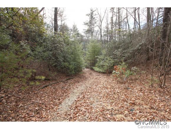 Tbd Shoal Creek Road, Unit 1&2 Balsam Grove, NC 28708 - Photo 19 of 24 Gallery Image 19