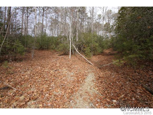 Tbd Shoal Creek Road, Unit 1&2 Balsam Grove, NC 28708 - Photo 20 of 24 Gallery Image 20