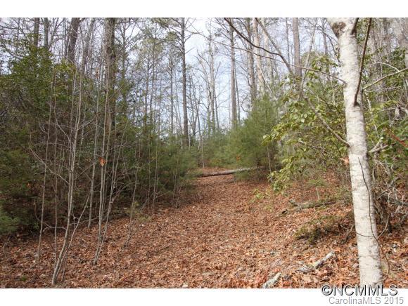 Tbd Shoal Creek Road, Unit 1&2 Balsam Grove, NC 28708 - Photo 21 of 24 Gallery Image 21