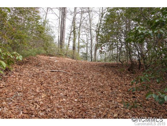 Tbd Shoal Creek Road, Unit 1&2 Balsam Grove, NC 28708 - Photo 22 of 24 Gallery Image 22