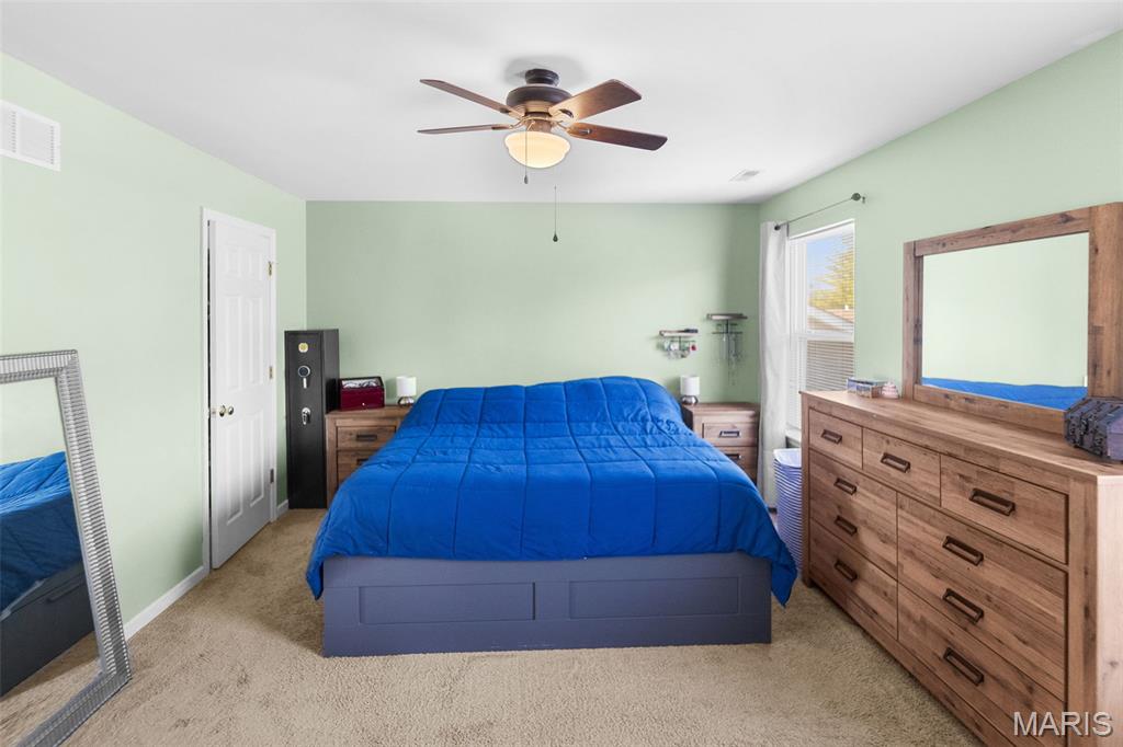 248 Harmony Ridge Drive Belleville, IL 62220 - Photo 21 of 52