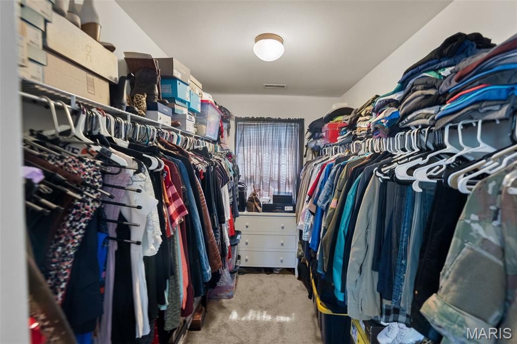 248 Harmony Ridge Drive Belleville, IL 62220 - Photo 23 of 52