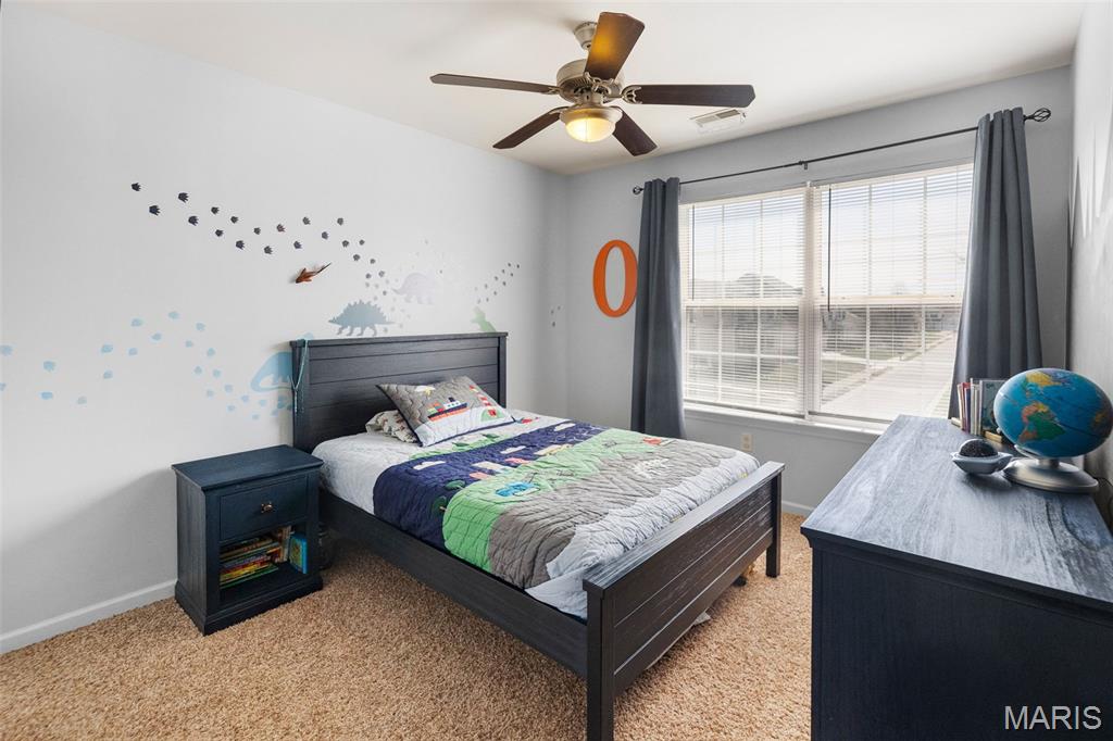 248 Harmony Ridge Drive Belleville, IL 62220 - Photo 27 of 52