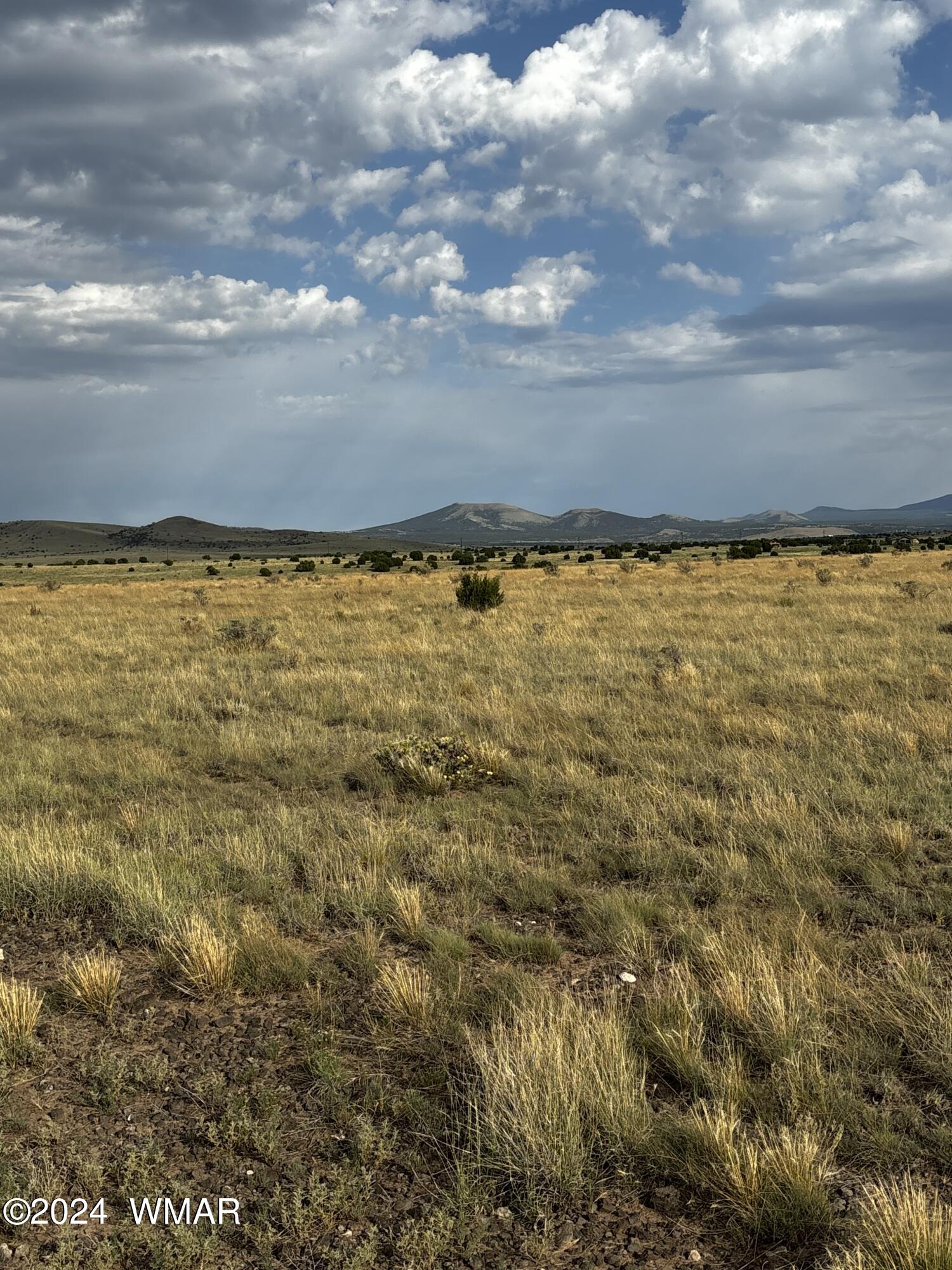 3232 North 3232 Concho, AZ 85924 - Photo 2 of 4 Beautiful View