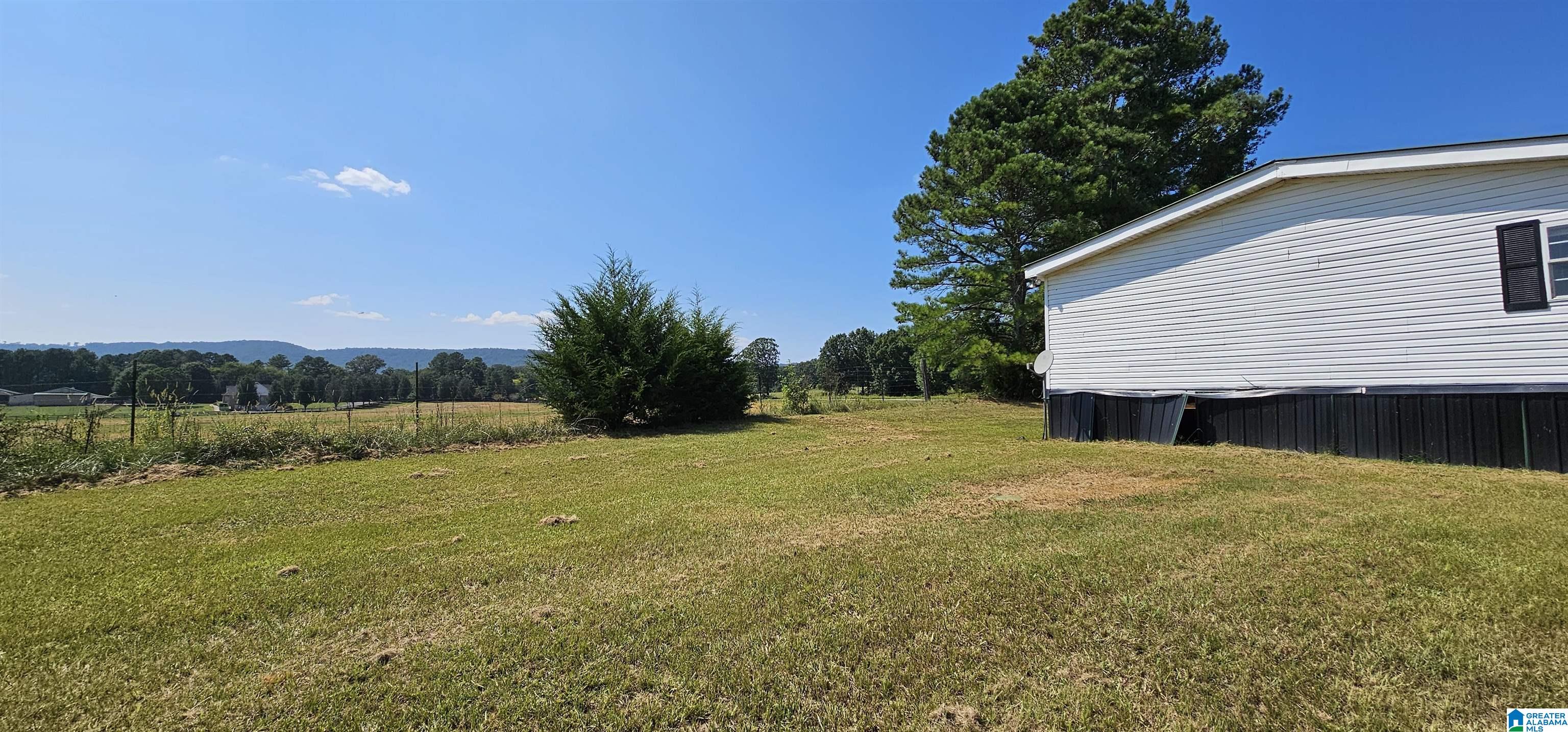 1218 Beason Cove Road Steele, AL 35987 - Photo 18 of 20