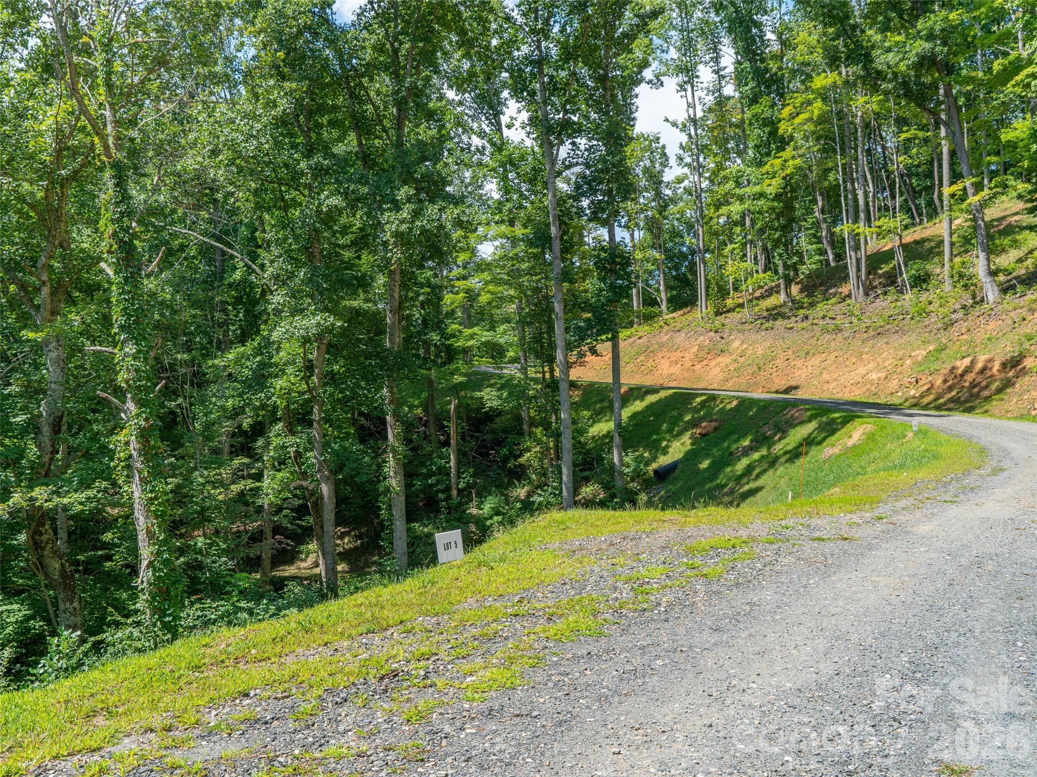 0 Locust Rough Mountain Road, Unit LOT 6 Burnsville, NC 28714 - Photo 23 of 26