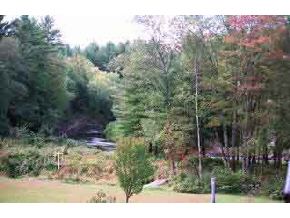 575 Tyler Road Webster, NH 03303 - Photo 2 of 3